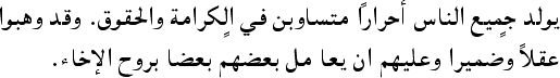 Sample text in Arabic (Article 1 of the Universal Declaration of Human Rights)